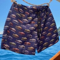 Boxer Mare Air Cooled