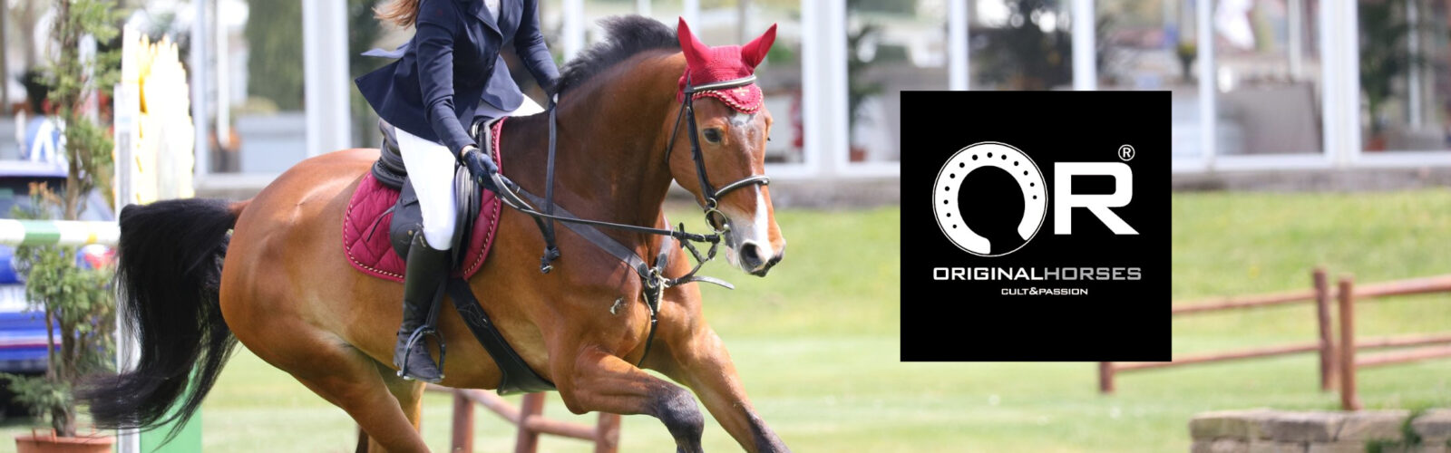 OR HORSES AMBIENT LOGO OR HORSES AMBIENT LOGO
